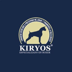 Branding logos Estudio Sendero