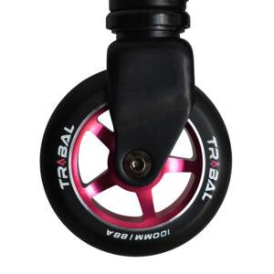 Foto producto Annezi Estudio sendero